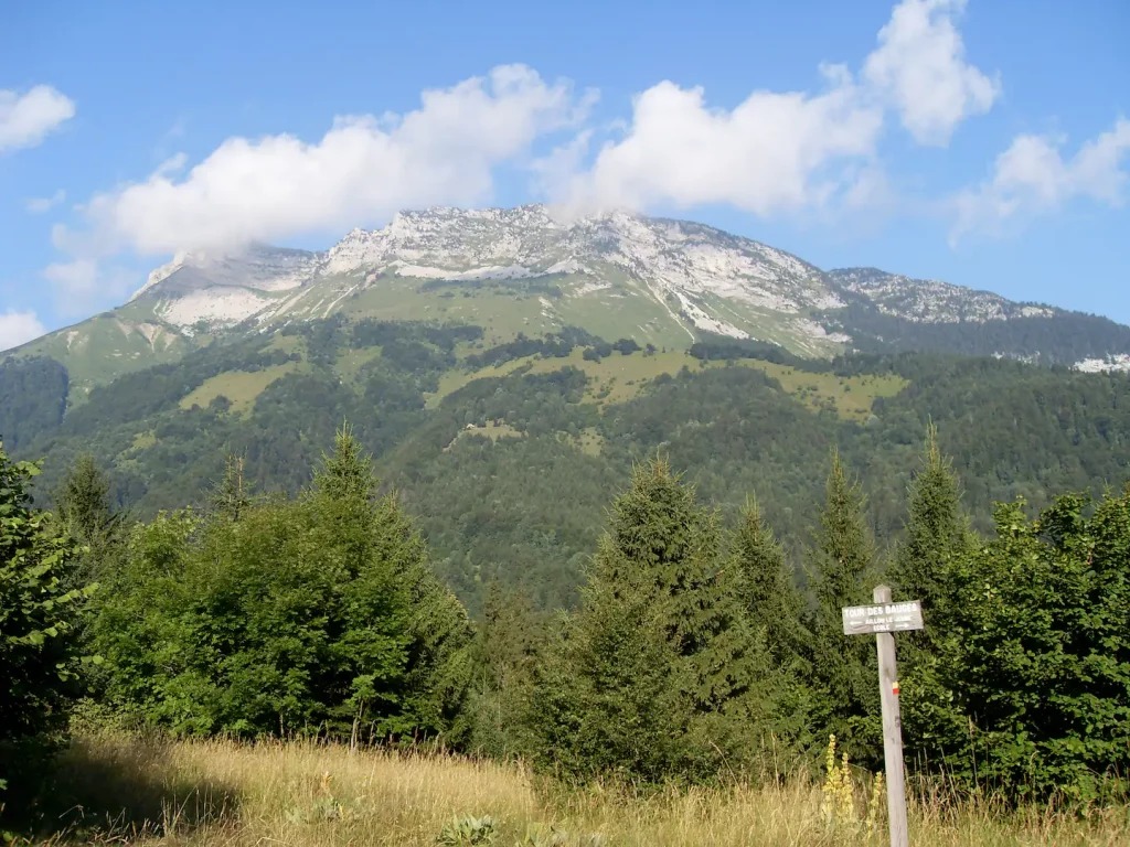 Yourte en Savoie dans les bauges